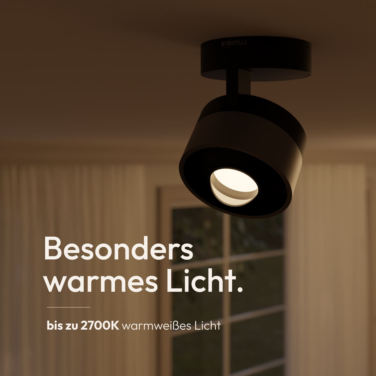Mala ceiling light