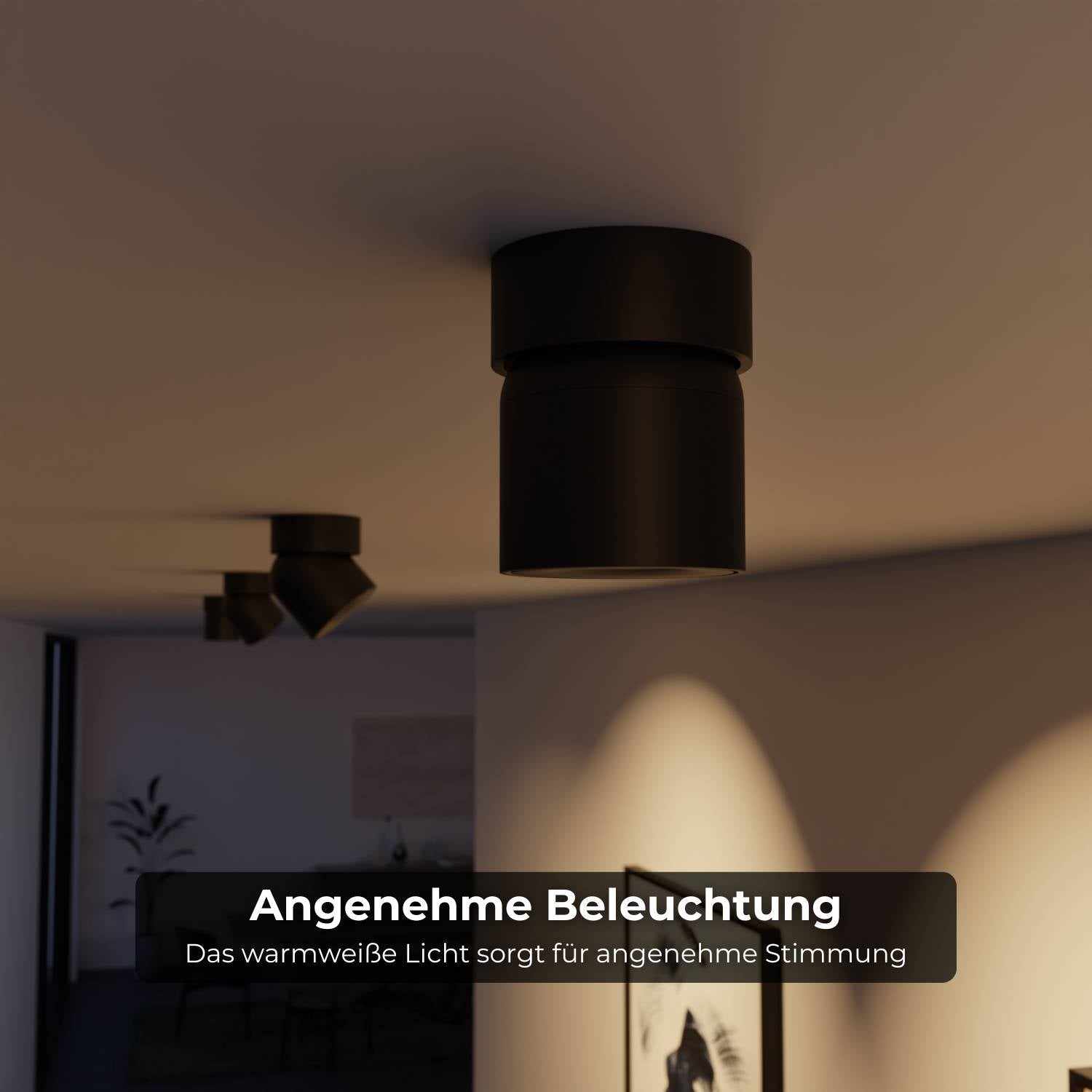 B-stock: Esol ceiling light