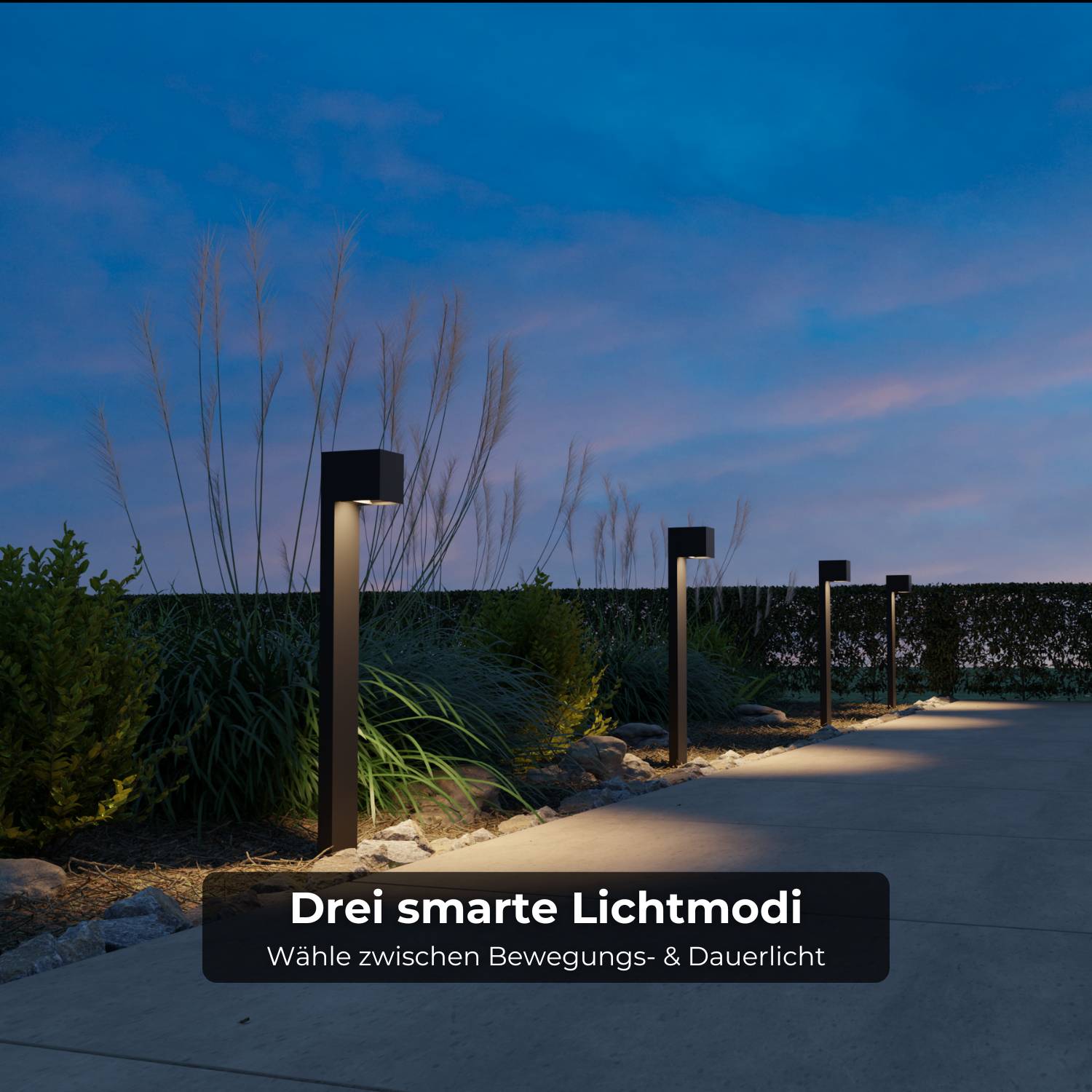 Havis solar light