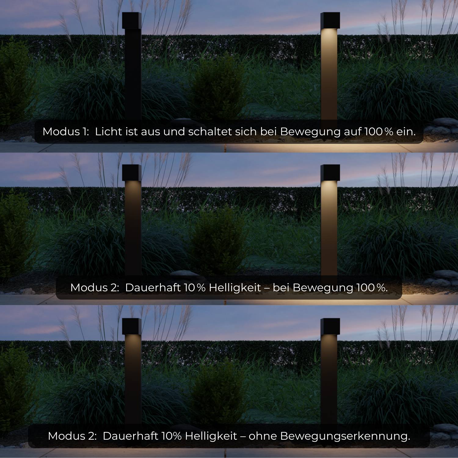 Havis solar light