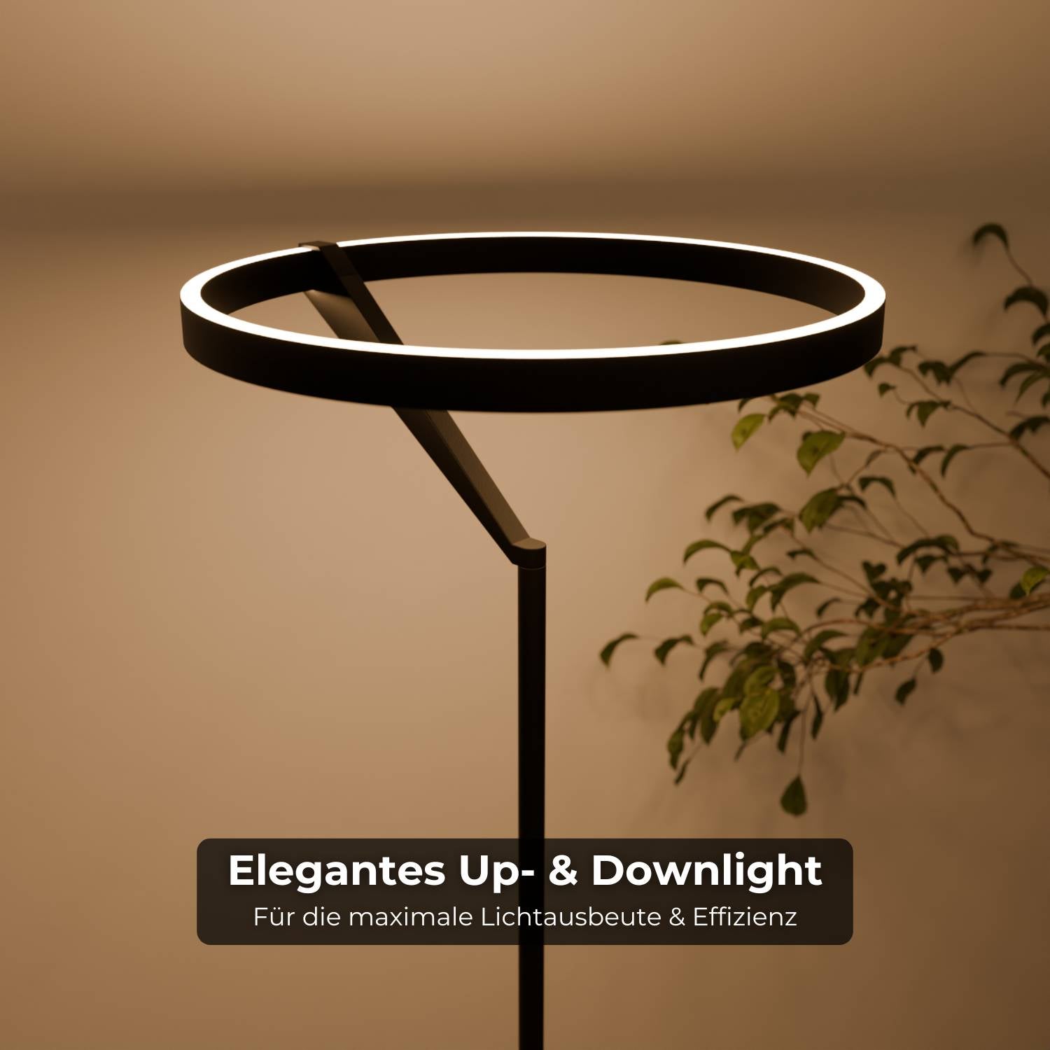 B-stock: Noxi floor lamp