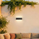 Avenis Wall Light