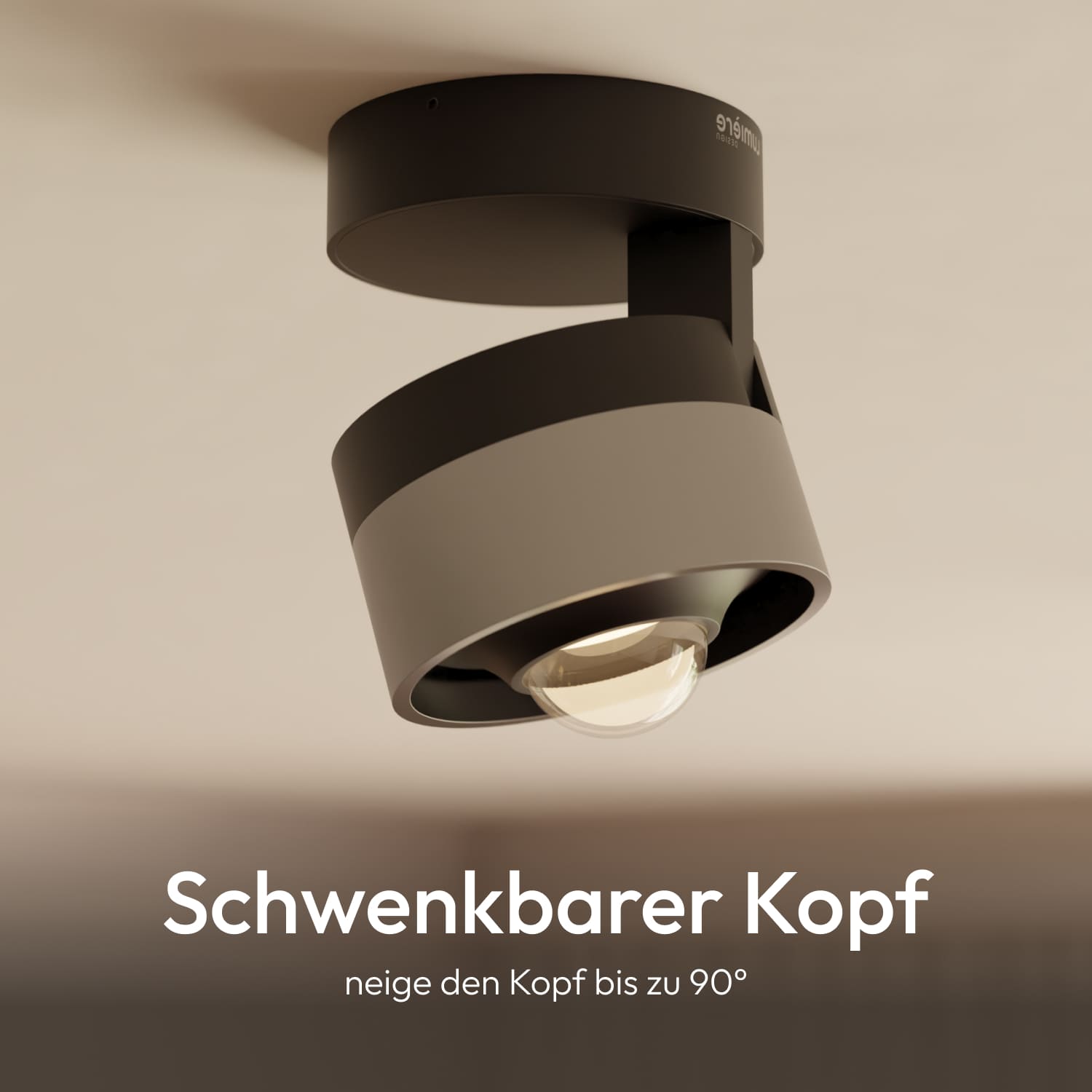 Mala ceiling light