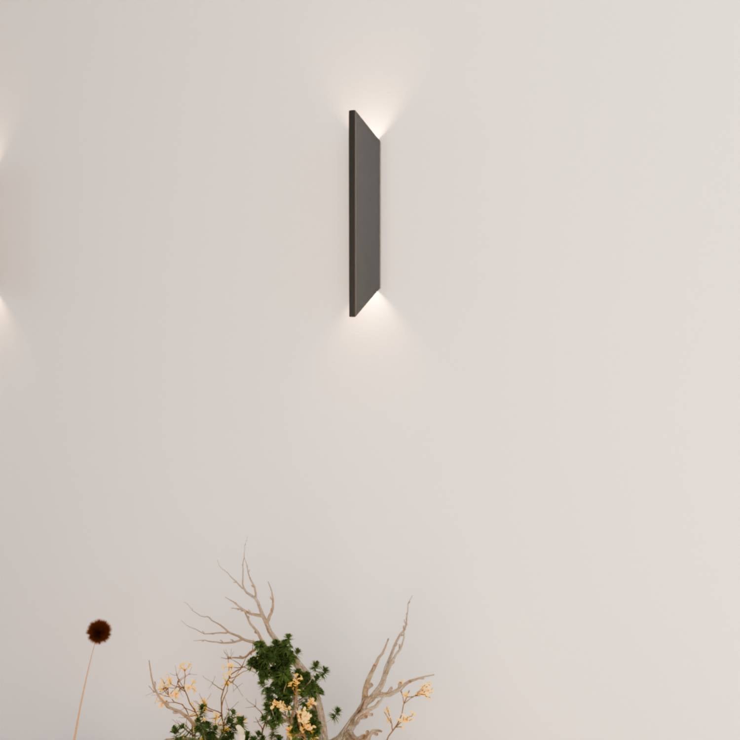 Aviso wall light