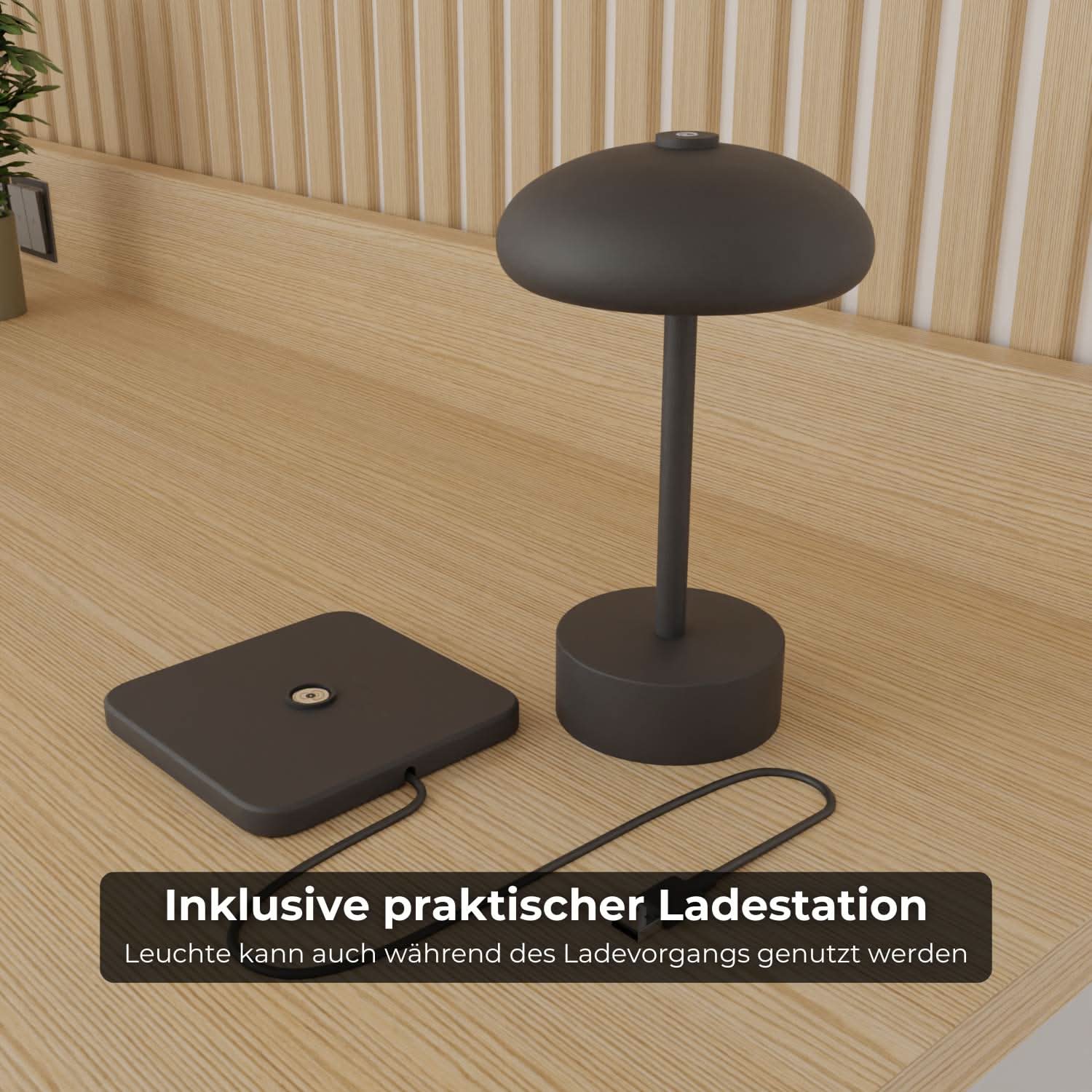 B-Stock: Elario battery table lamp