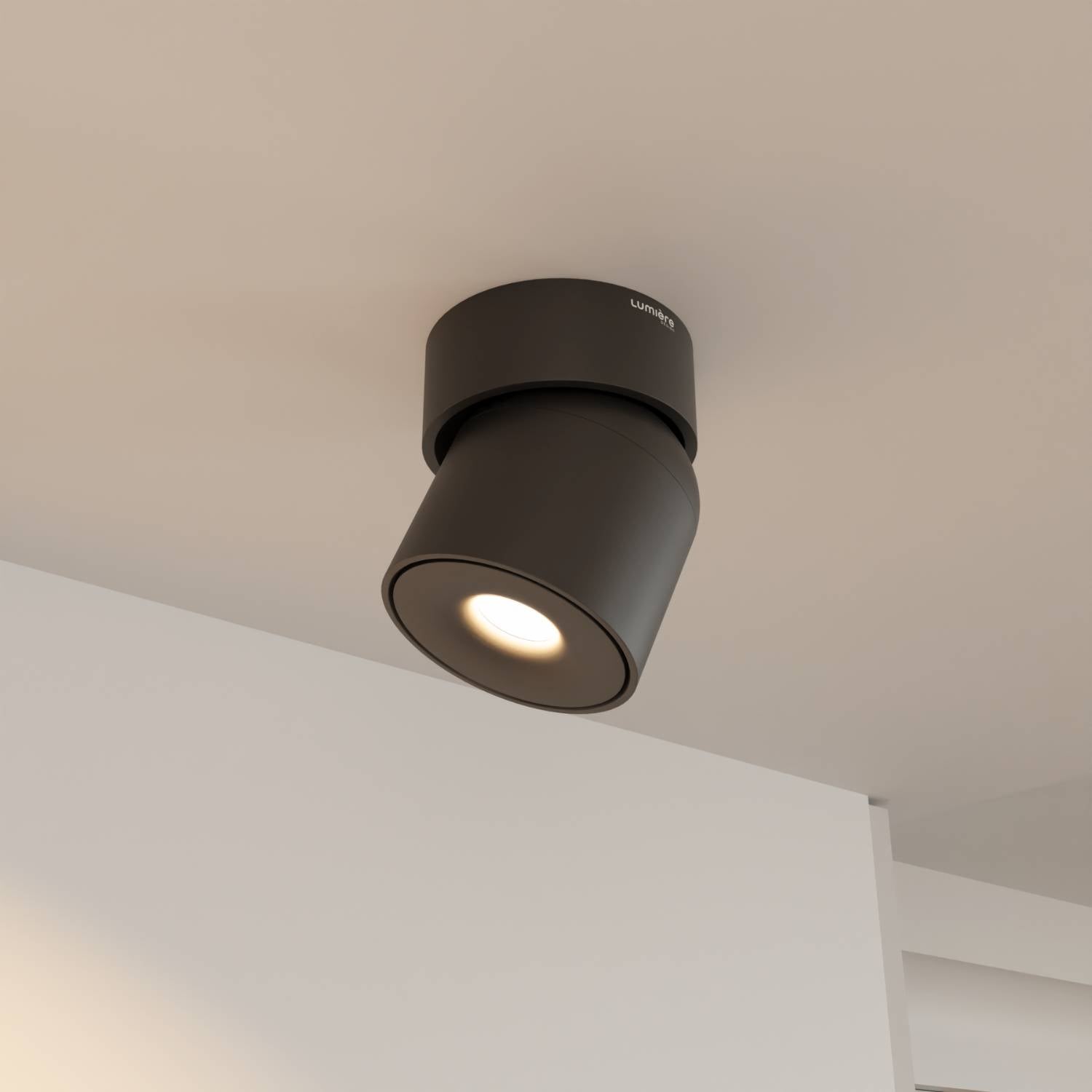 Esol ceiling light