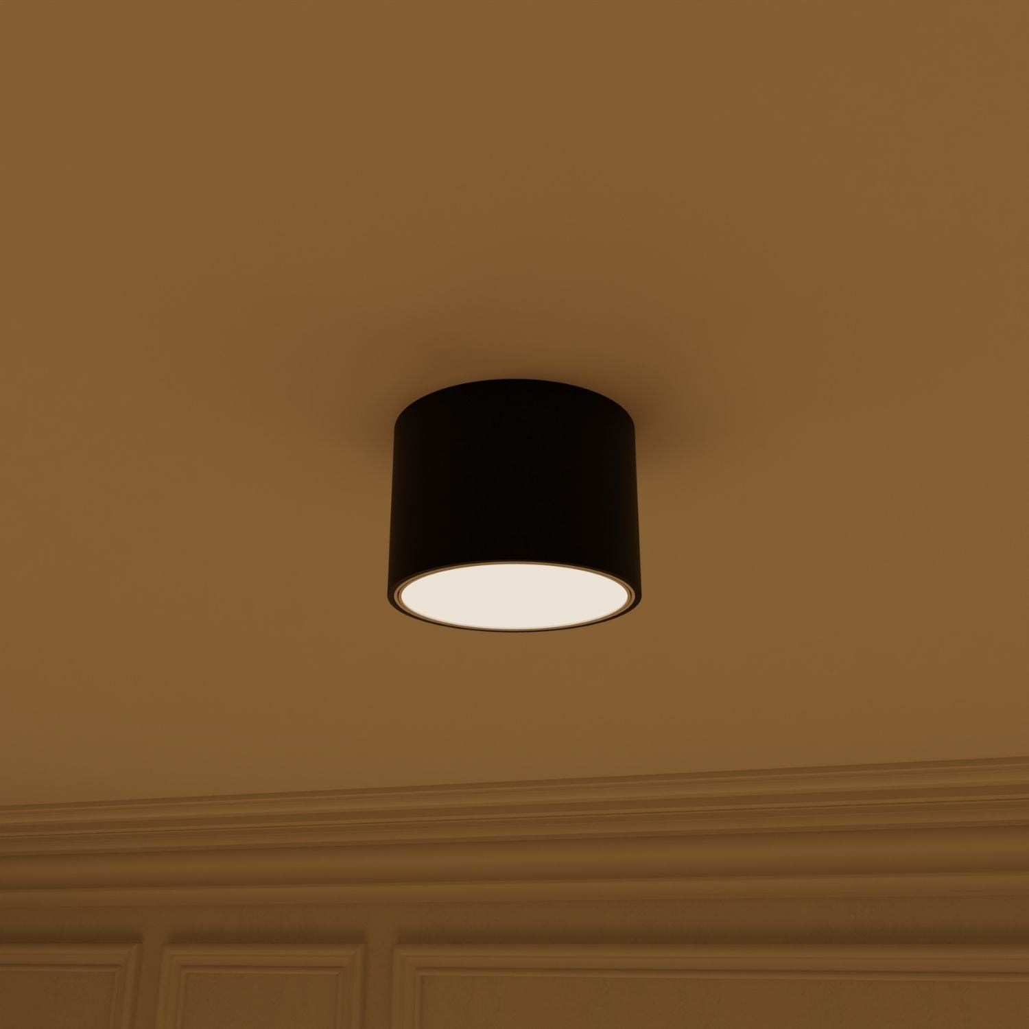 Nela ceiling light