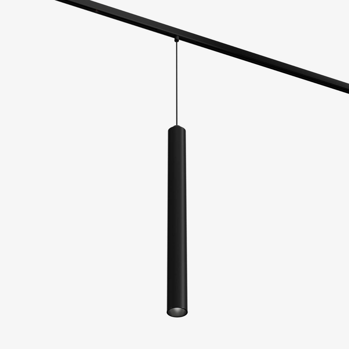 Track system: Pendant module
