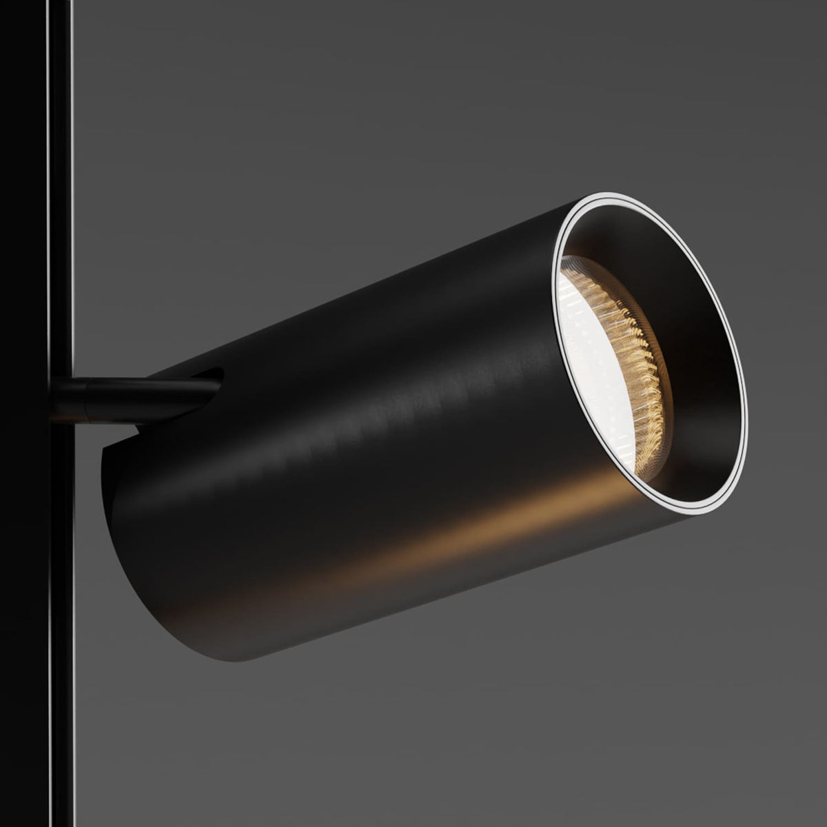 Track system: spotlight module